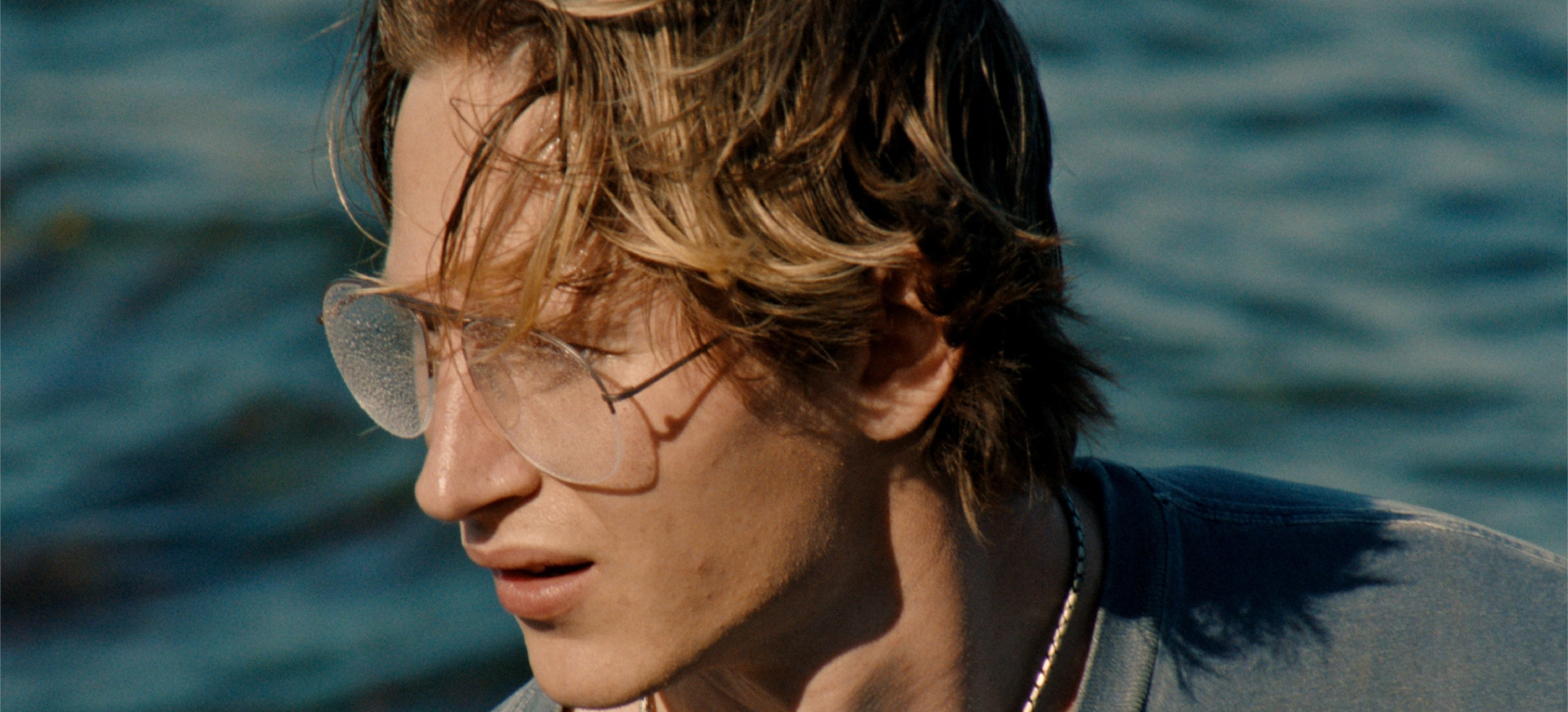 Kp26: Pilkasis Garnys filmo online nuotraukos