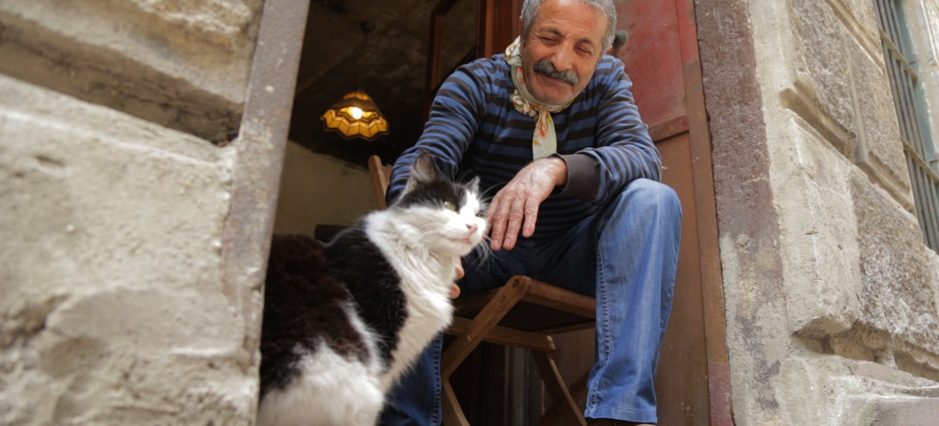 Kedi. Slaptas Kačių Gyvenimas