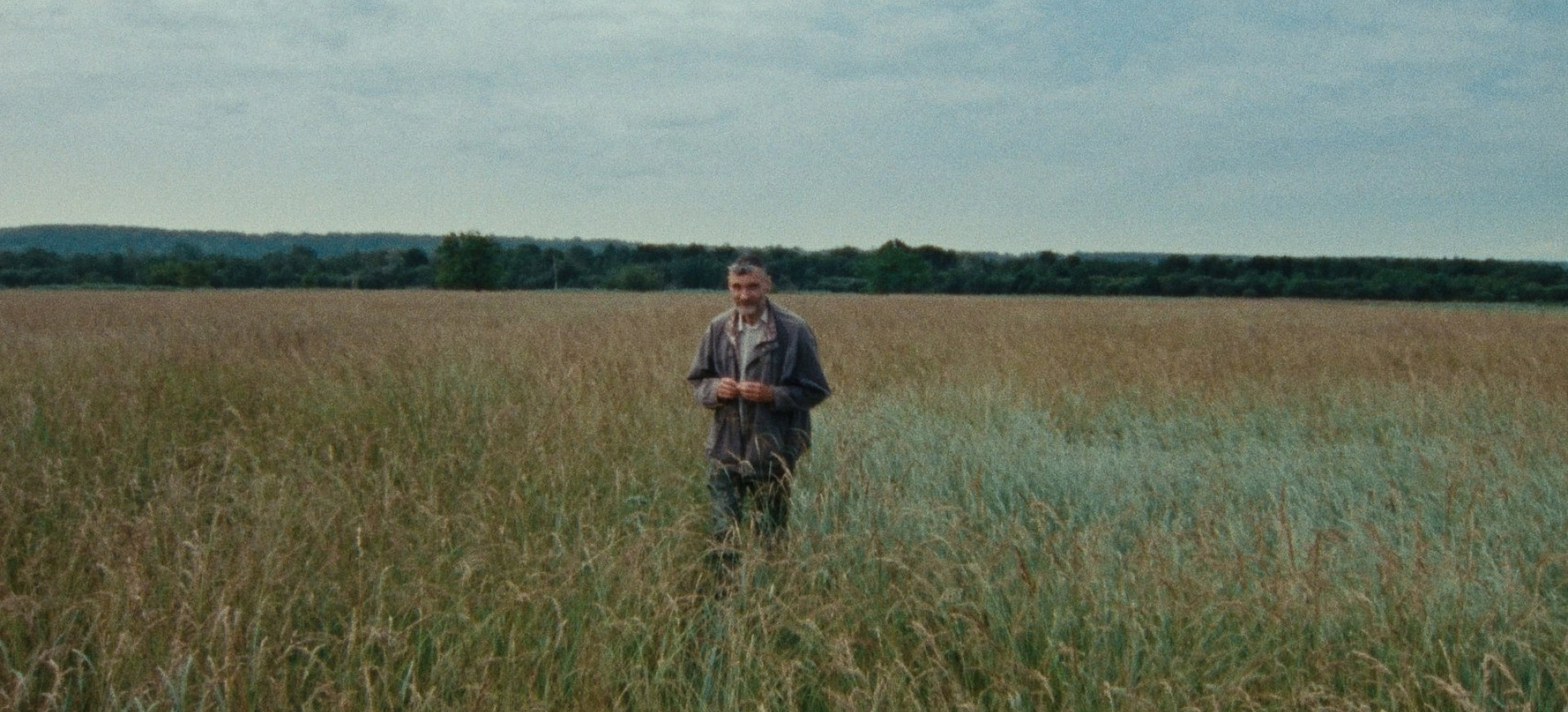 Septyni Pasivaikščiojimai Su Marku Brownu