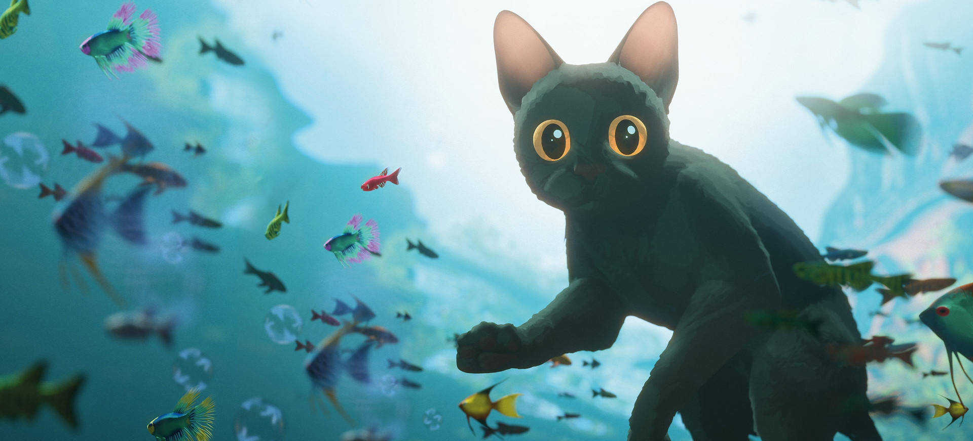 Potvynis filmo online nuotraukos