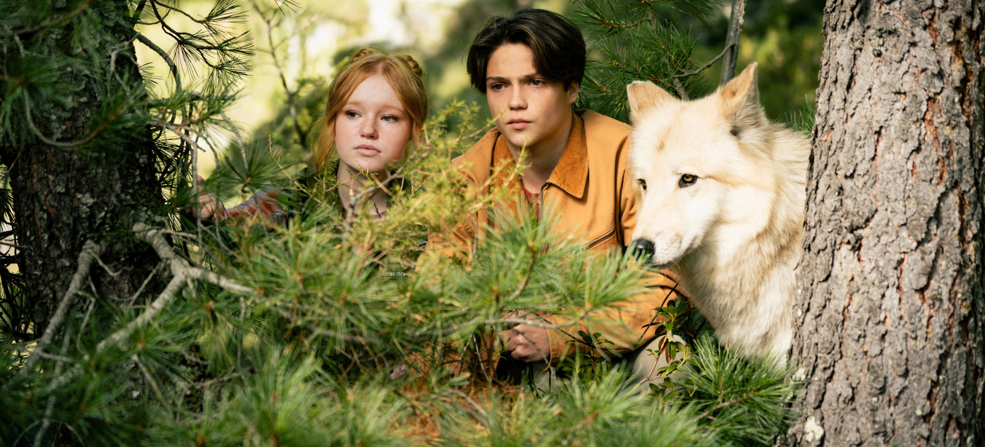 Miškų Bastūnai 2 filmo online nuotraukos