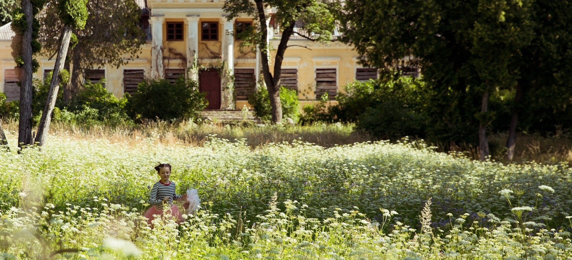 Drugelio Širdis filmo online nuotraukos