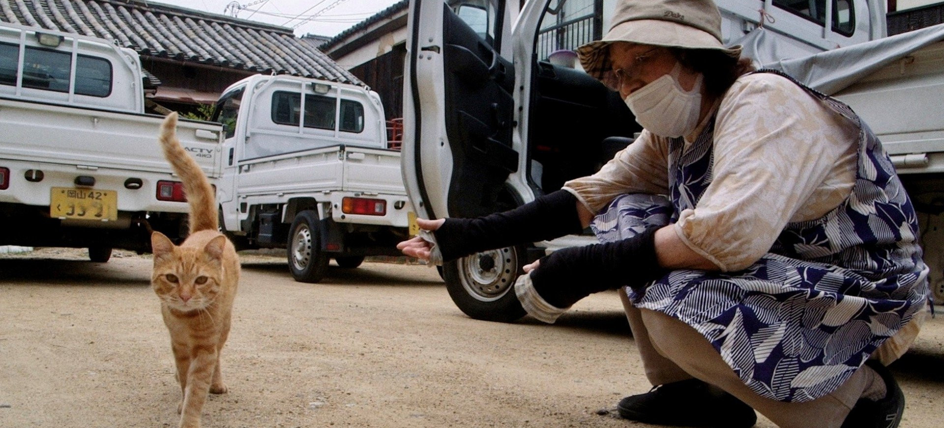 Gokogu Šventyklos Katės filmo online nuotraukos