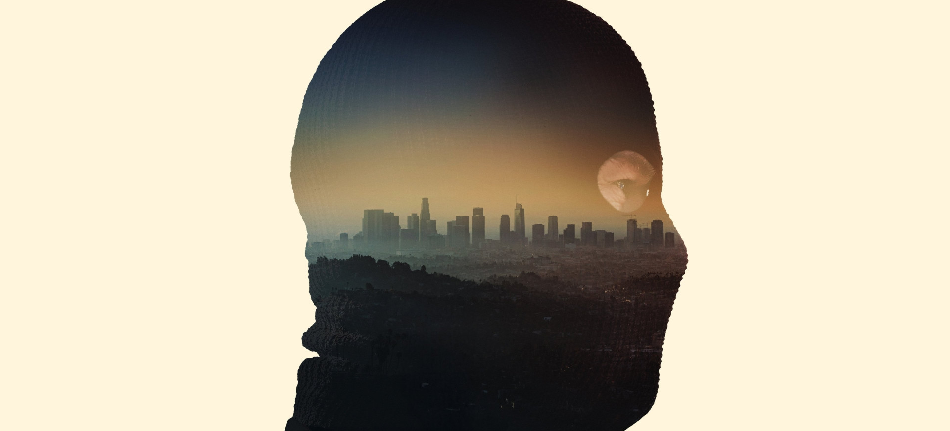 Kelias Į Nusikaltimą