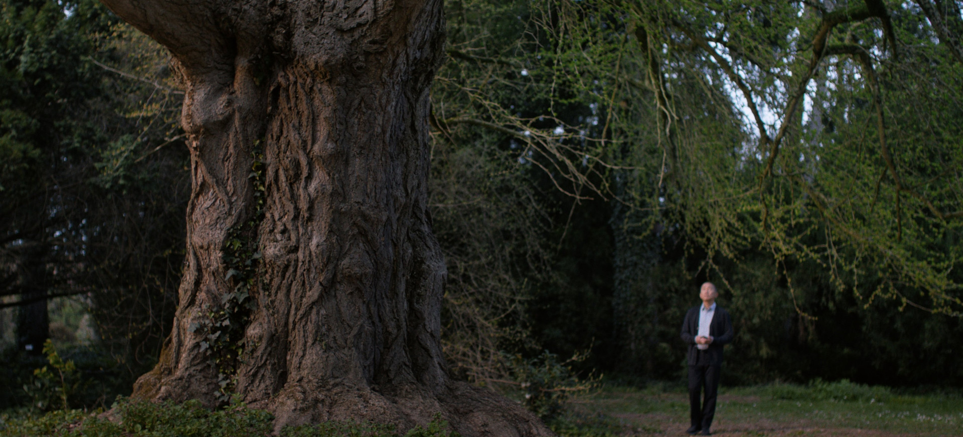 Tylioji Draugė filmo online nuotraukos