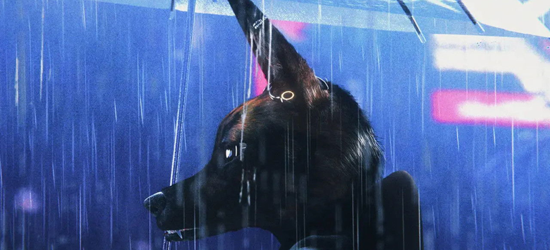 Kp26: Bučšra filmo online nuotraukos