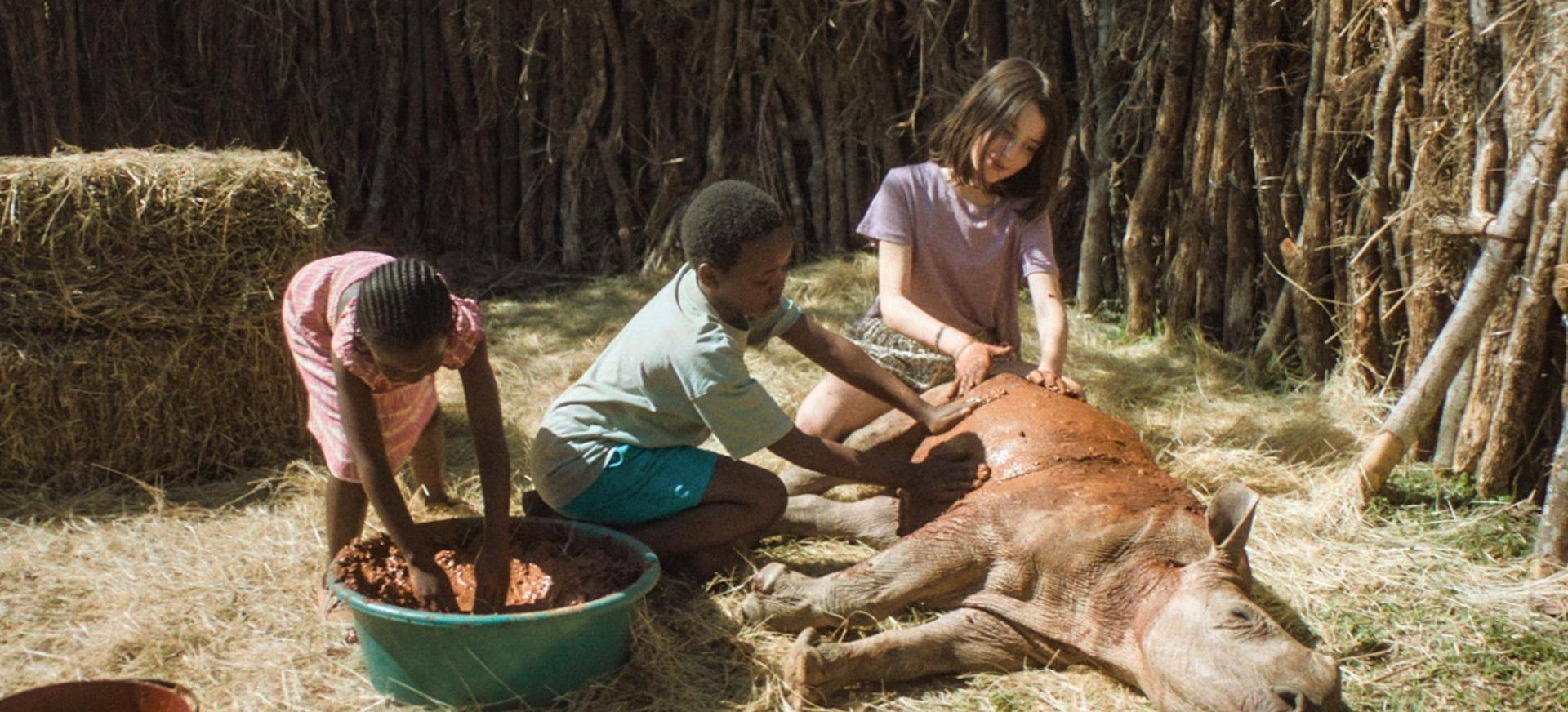 Raganosis Rino filmo online nuotraukos