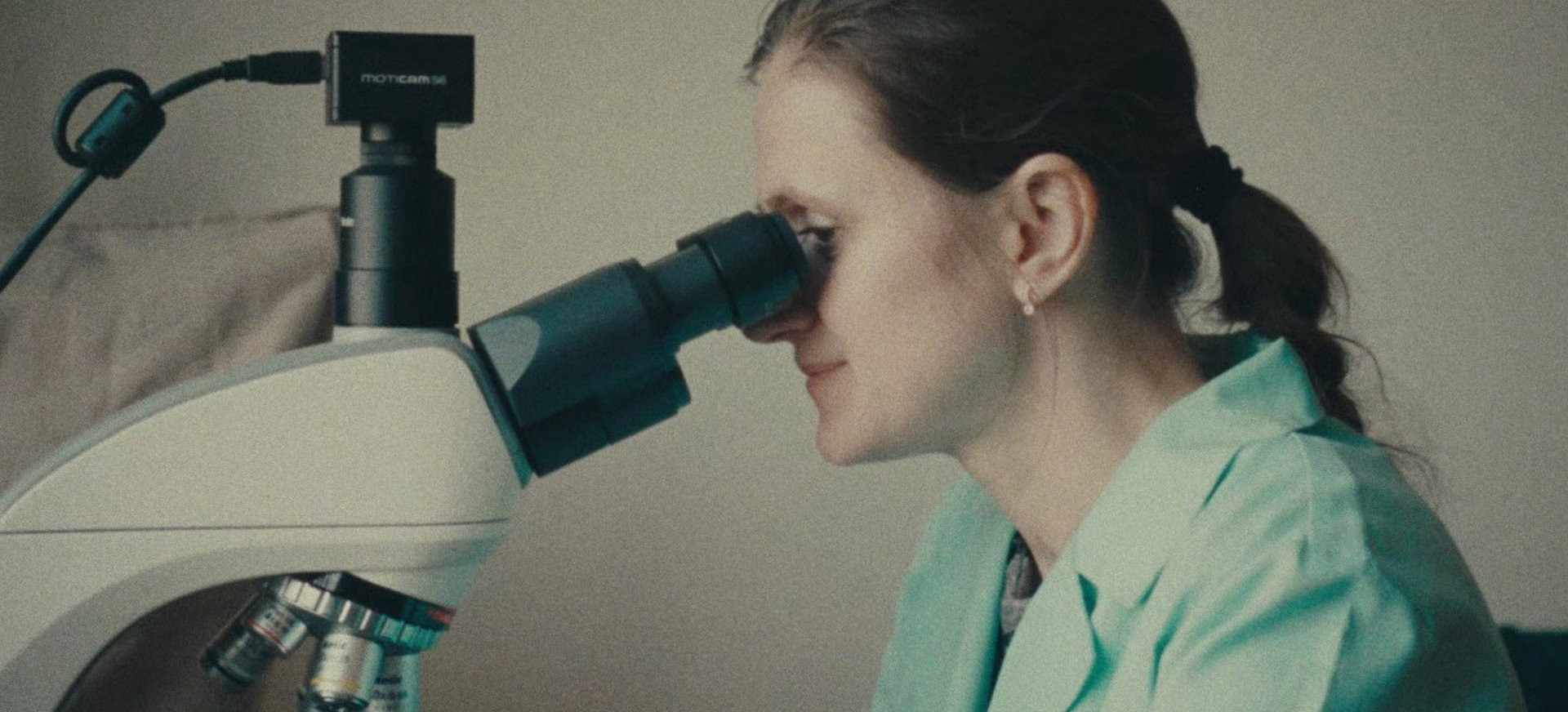 Dulkės, kaulai ir stebuklai filmo online nuotraukos