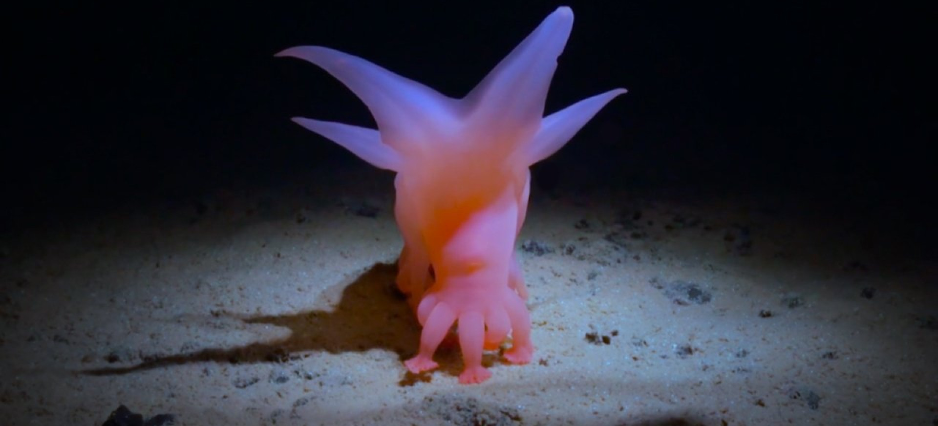 How Deep Is Your Love