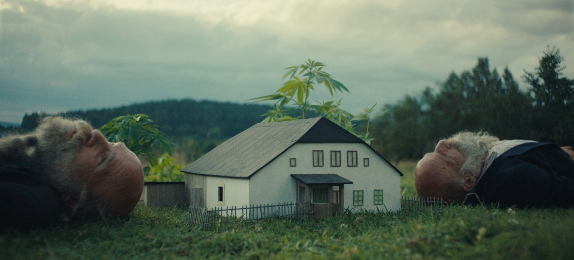 Jau Geriau Išprotėsiu