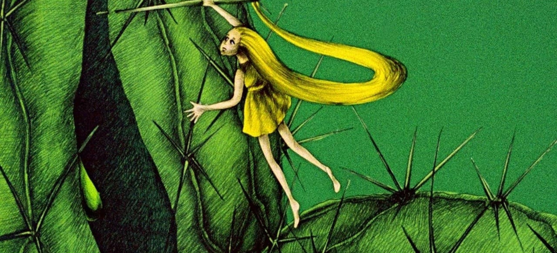 Kaktuso Paslaptis