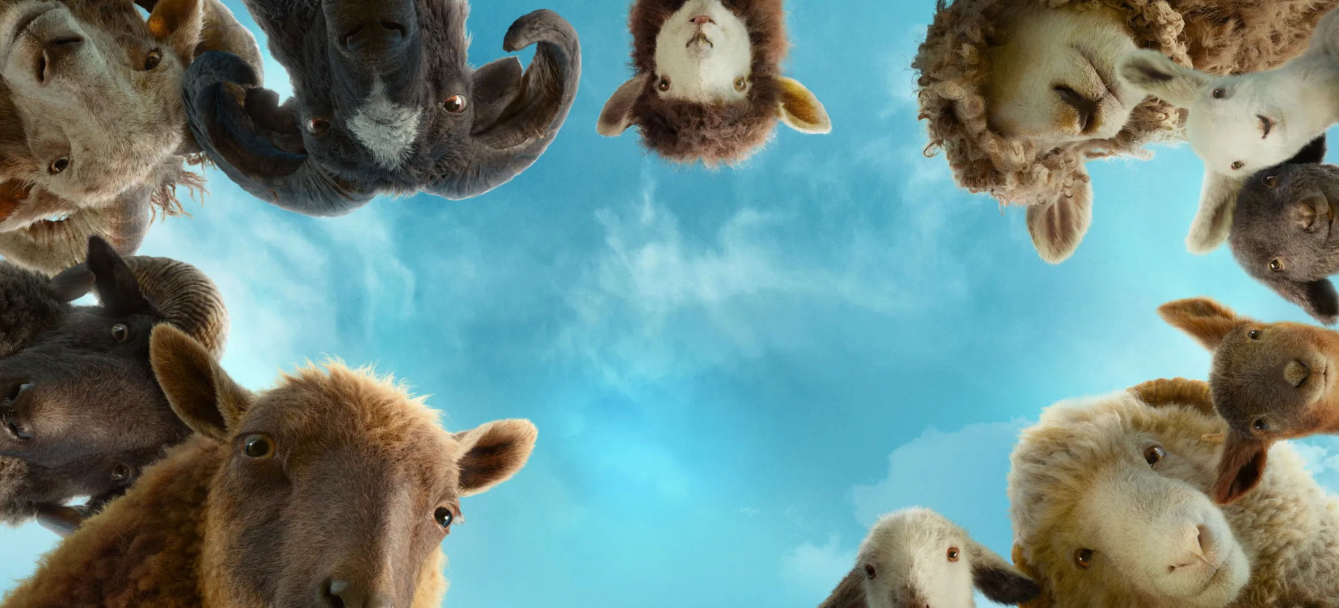 Avys Detektyvės filmo online nuotraukos