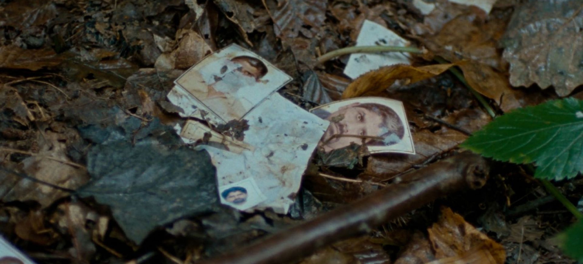 Kraštovaizdis Ir Įniršis