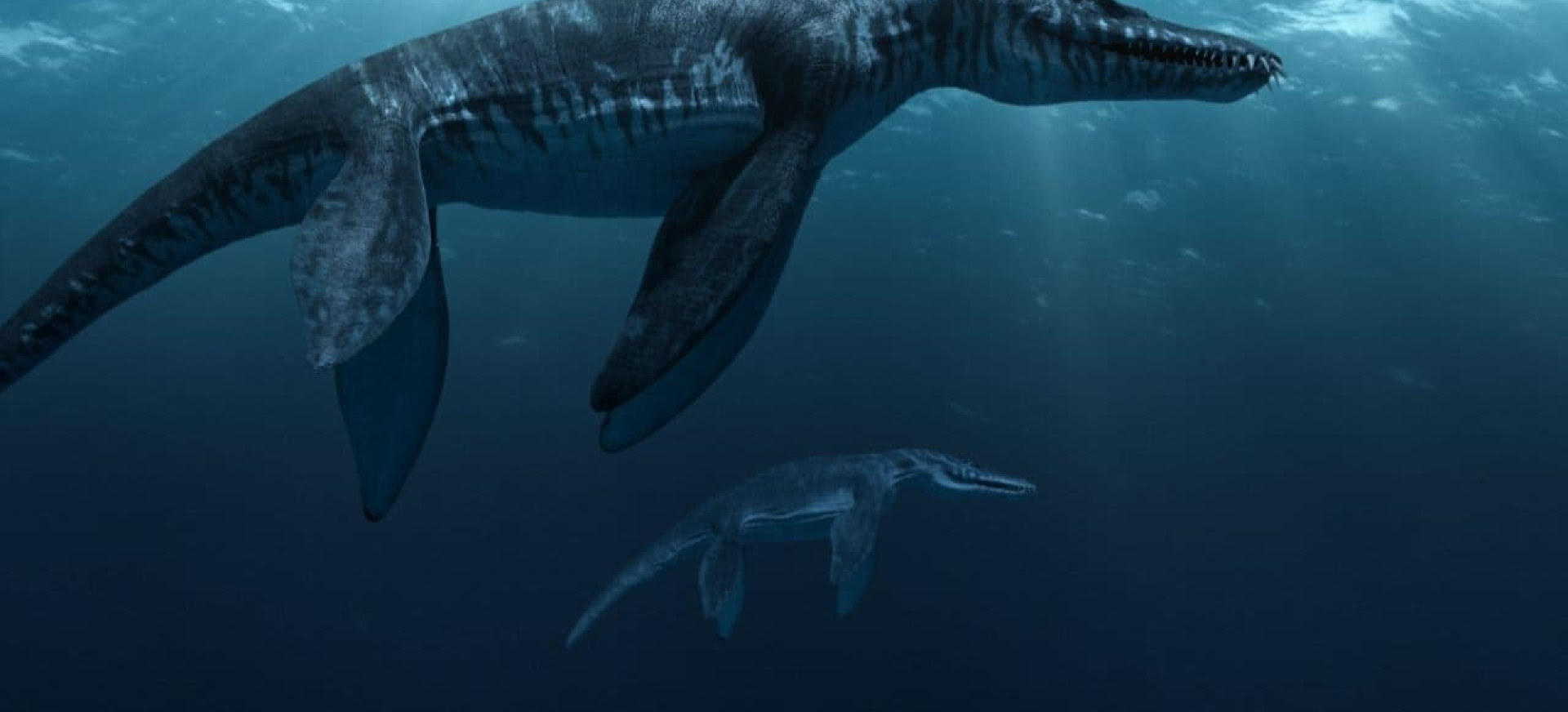 Sea Rex Jūrų Dinozaurai 3D