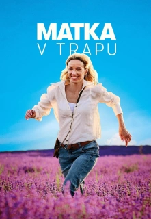 Pertrauka mamai filmo online nuotraukos
