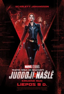 Juodoji našlė filmo online nuotraukos