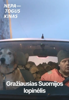 Gražiausias Suomijos Lopinėlis filmo online nuotraukos