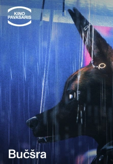 Kp26: Bučšra filmo online nuotraukos