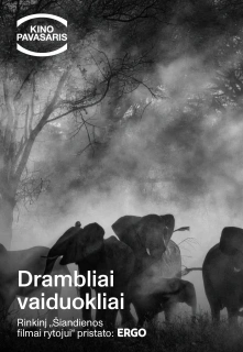 Kp26: Drambliai Vaiduokliai filmo online nuotraukos