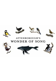 Davidas Attenborough pristato. Giesmės stebuklas filmo online nuotraukos