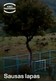 Kp26: Sausas Lapas filmo online nuotraukos