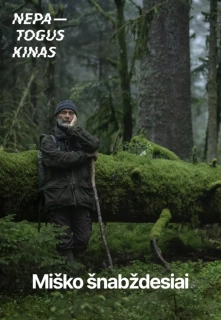 Miško Šnabždesiai filmo online nuotraukos