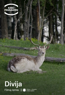 Kp26: Divija filmo online nuotraukos