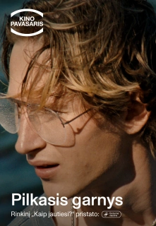 Kp26: Pilkasis Garnys filmo online nuotraukos