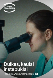 Dulkės, kaulai ir stebuklai filmo online nuotraukos