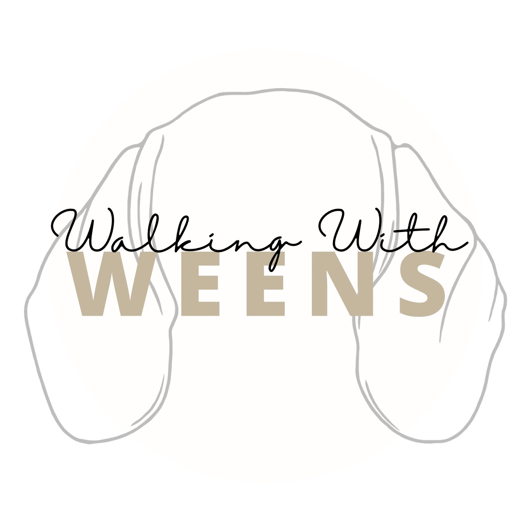 Shop logo