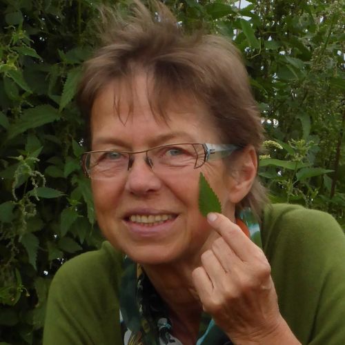 Ursula Stumpf - Heilpflanzen zum Schutz für dein Kind und die ganze Familie