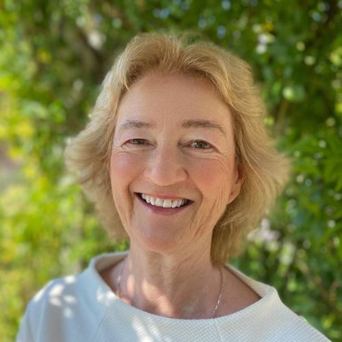 Brigitte Kimmerle - Krankheiten verstehen: bio- log. Systeme & Heilungsphase