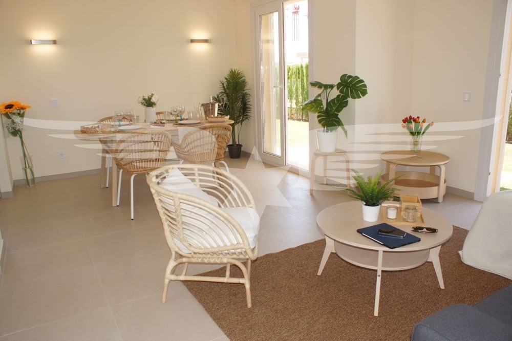 Living-Dining area