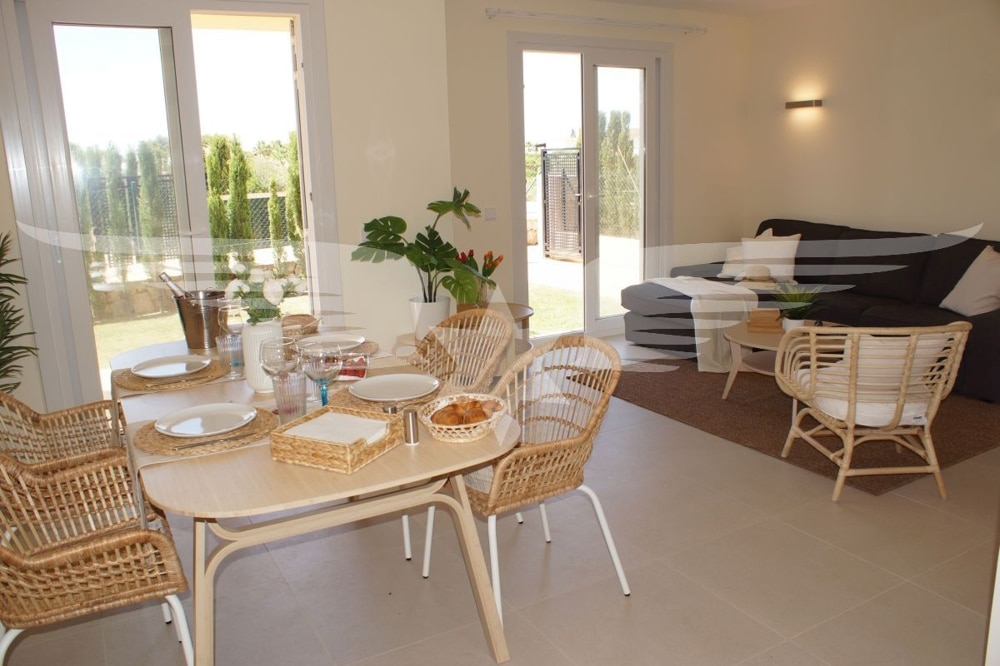Living-Dining area