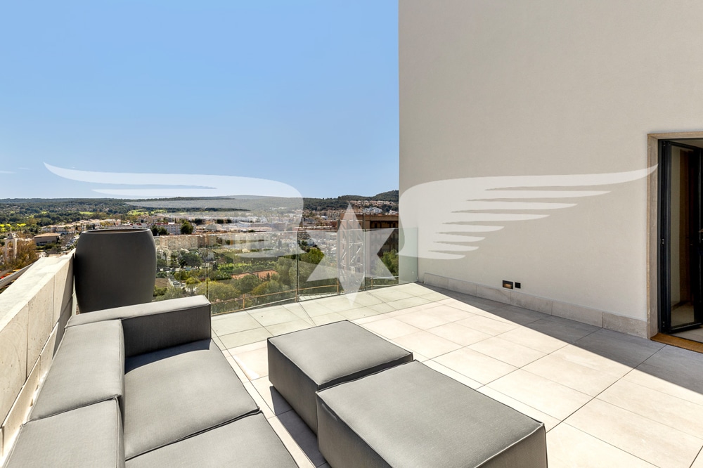 Terrace 2