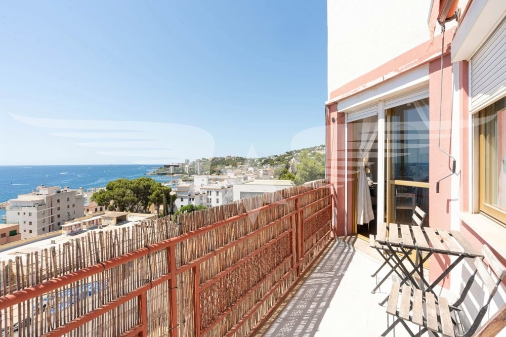 Terraza