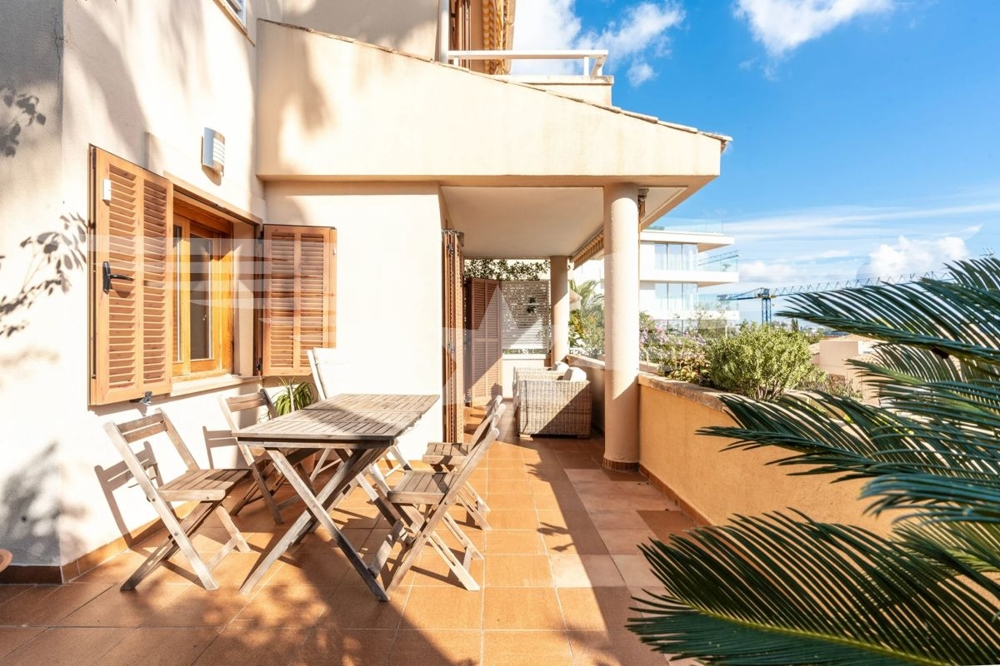 Terraza