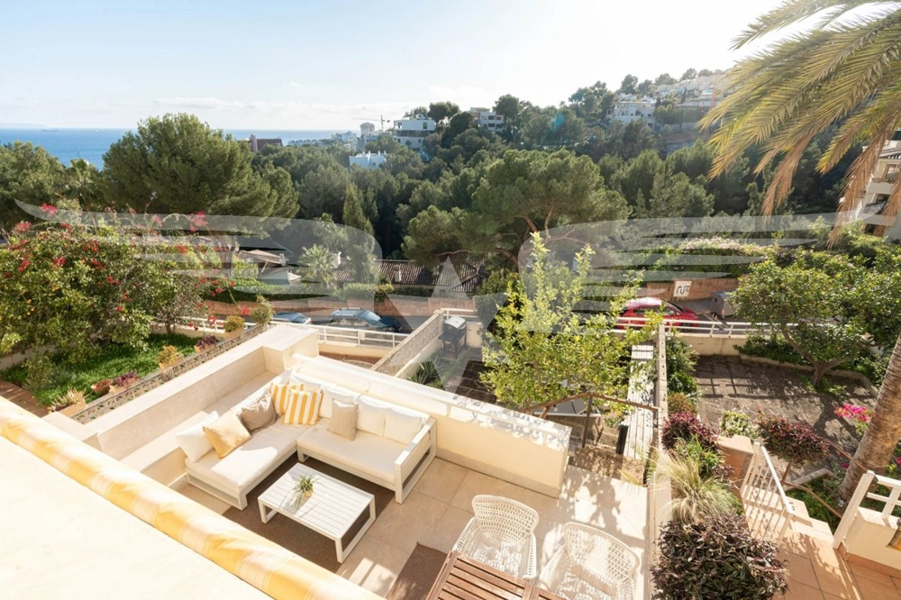 Terrace 1