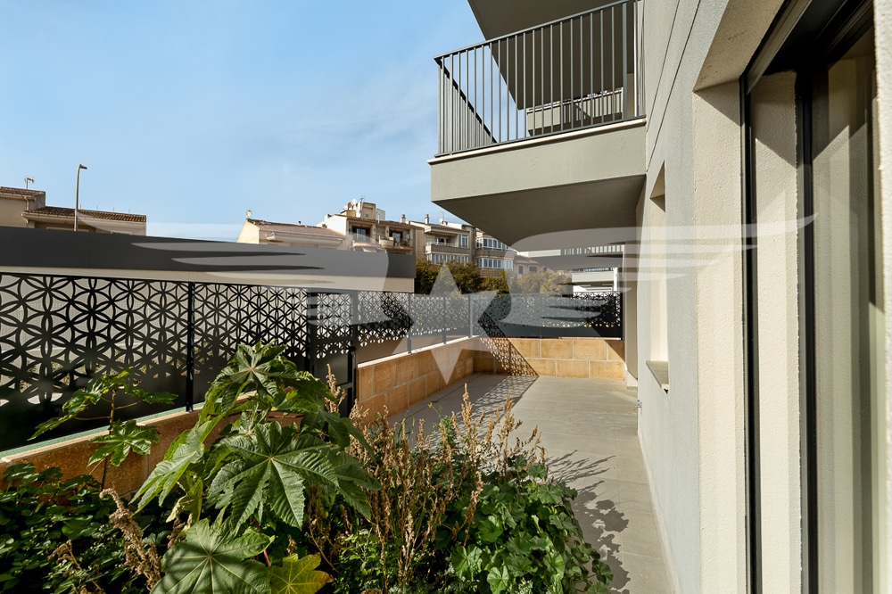 Terraza 1