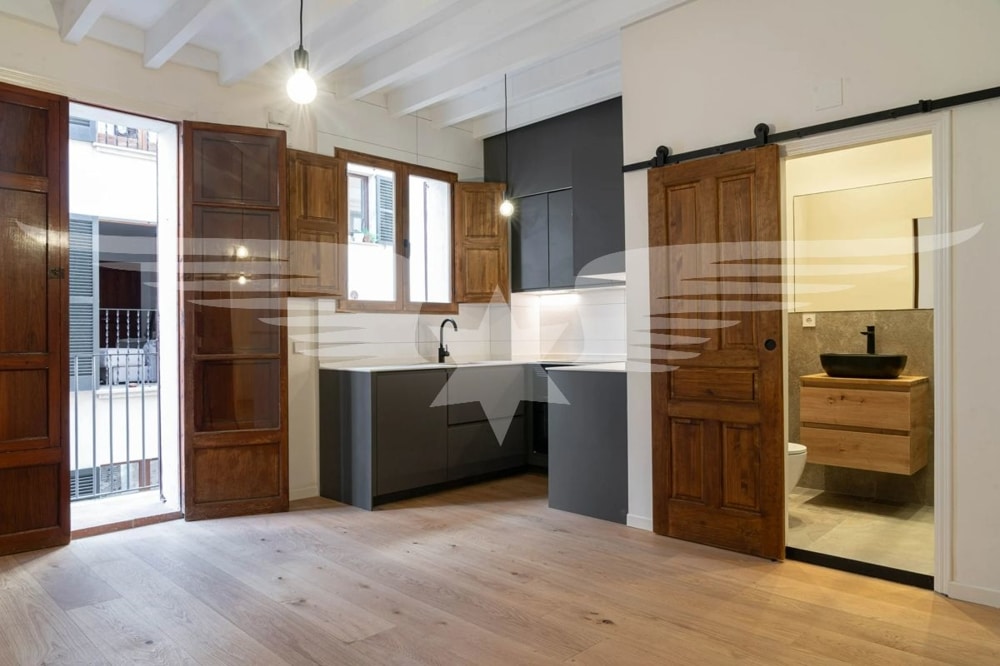 Living Area/Kitchen