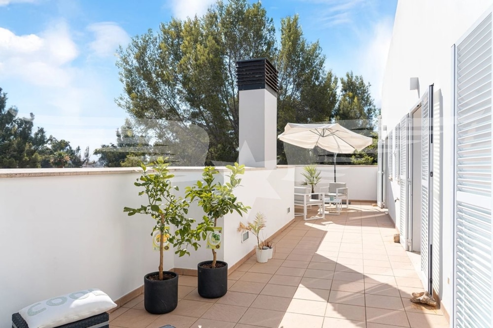 Terraza