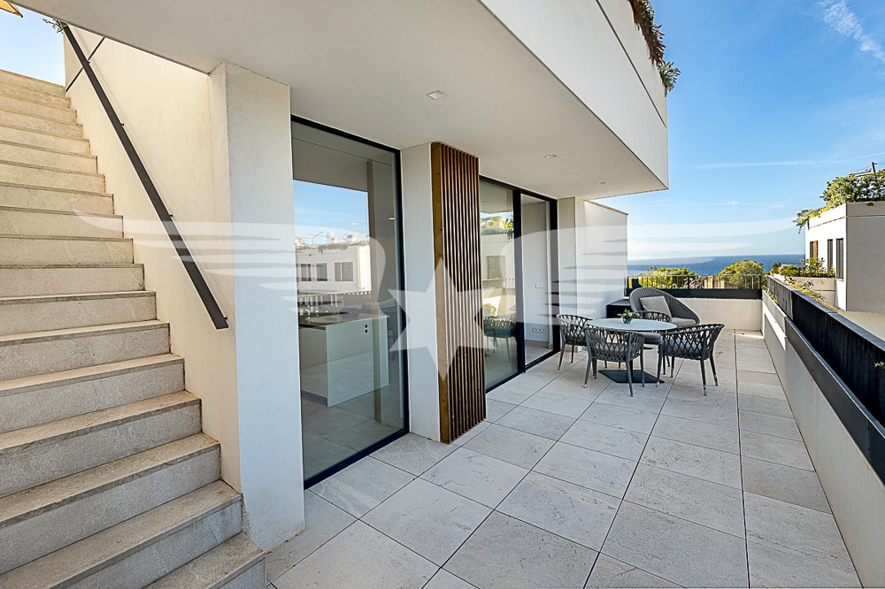 Terraza