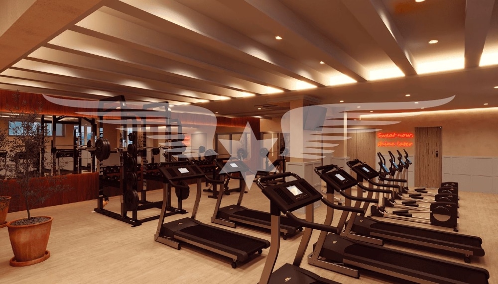 Visualised GYM