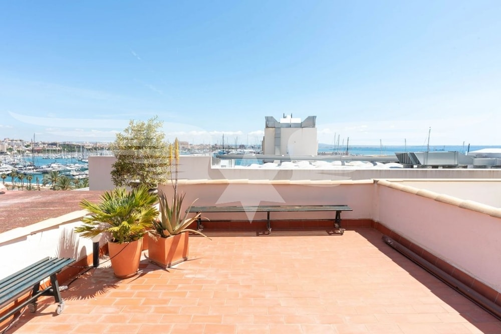 Terrasse 3