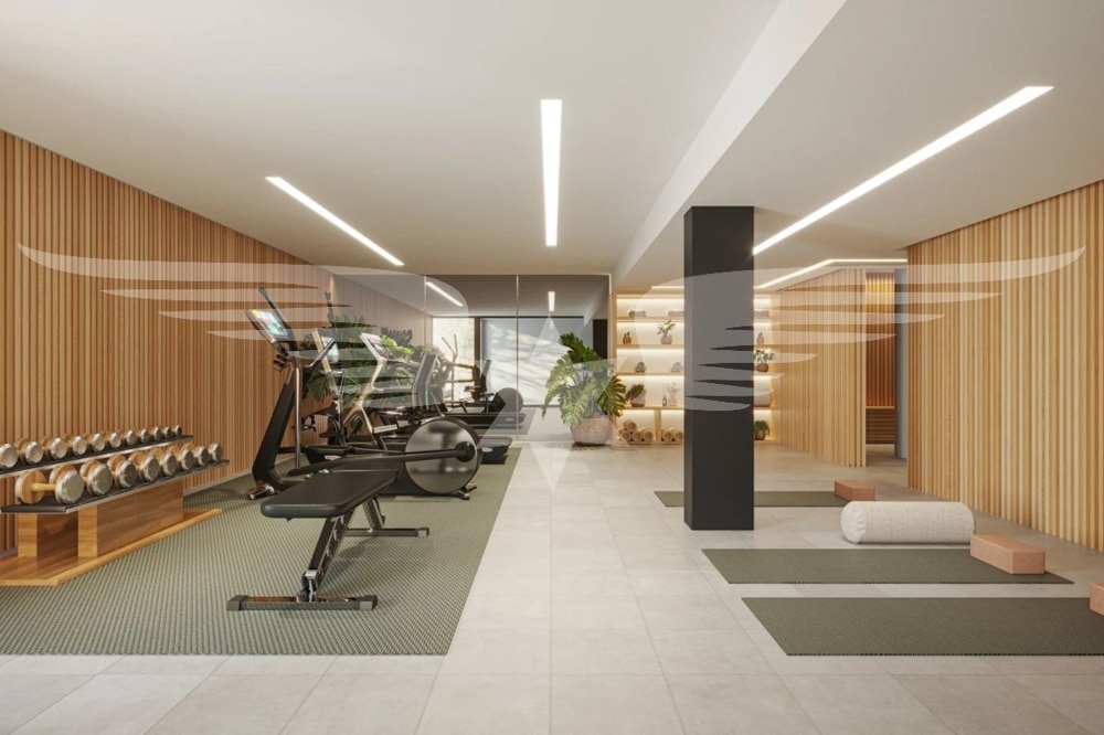 Gymnasio