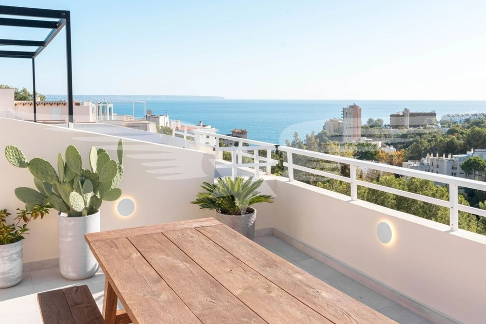 Roof top terrace
