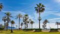 Cala Millor