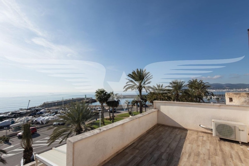 Roof top terrace