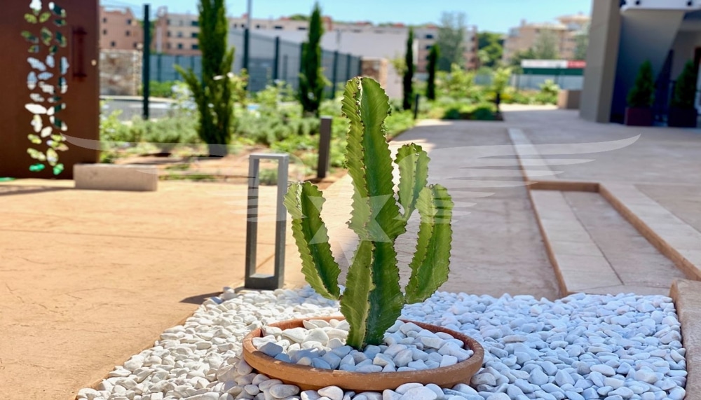 Impressions of the outdoor area
