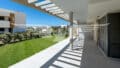 Terrace/Garden
